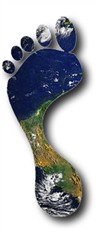 Carbon footprint